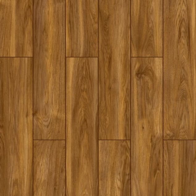 Castledale Elm